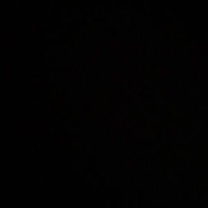 Meet your Posher, Brie